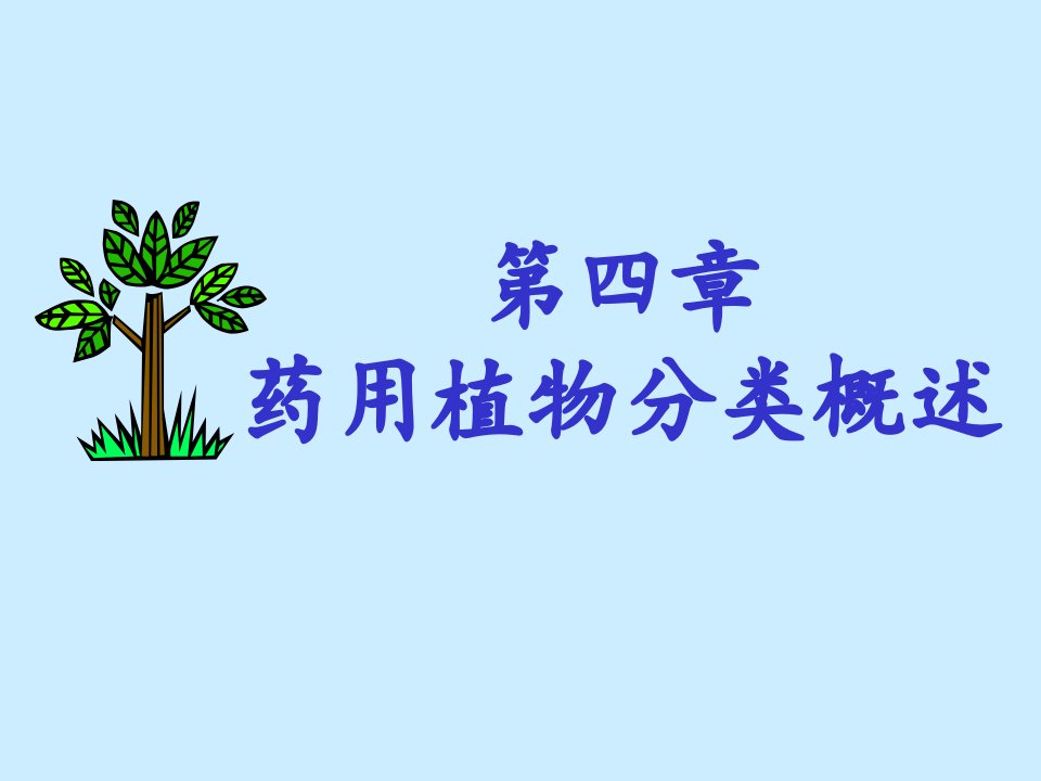 第4章药用植物分类学概述