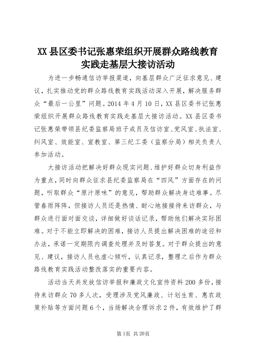 XX县区委书记张惠荣组织开展群众路线教育实践走基层大接访活动