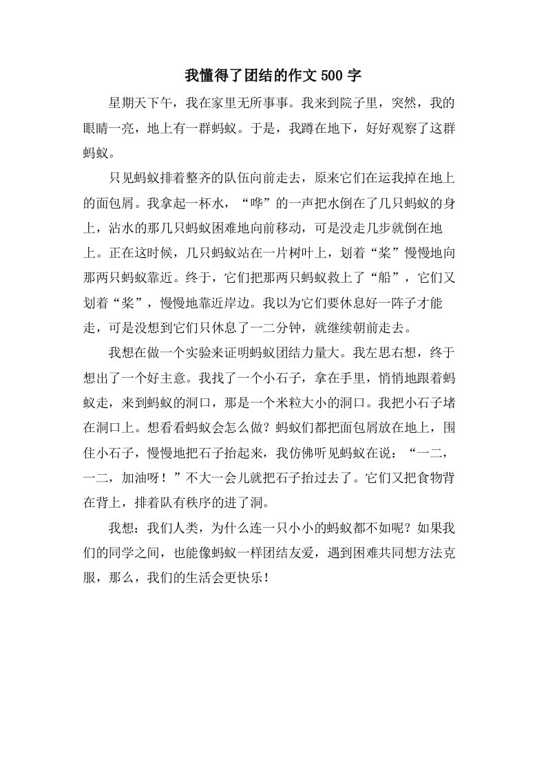 我懂得了团结的作文500字