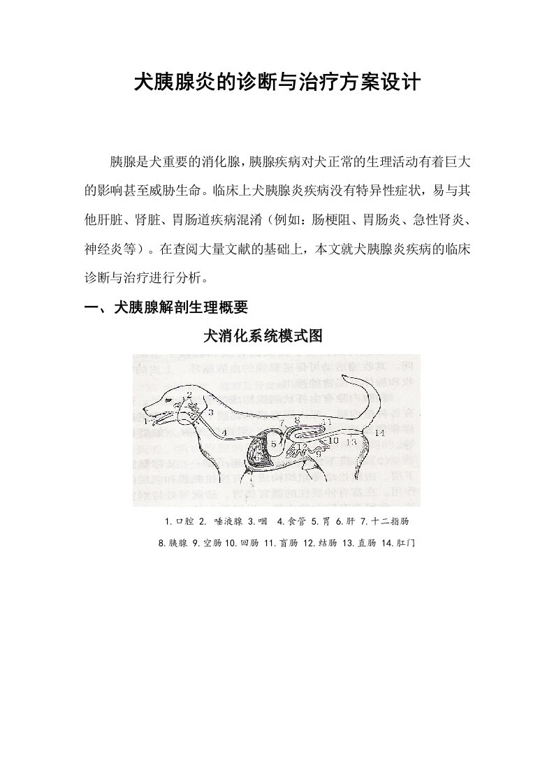 犬胰腺炎的诊断与治疗方案设计