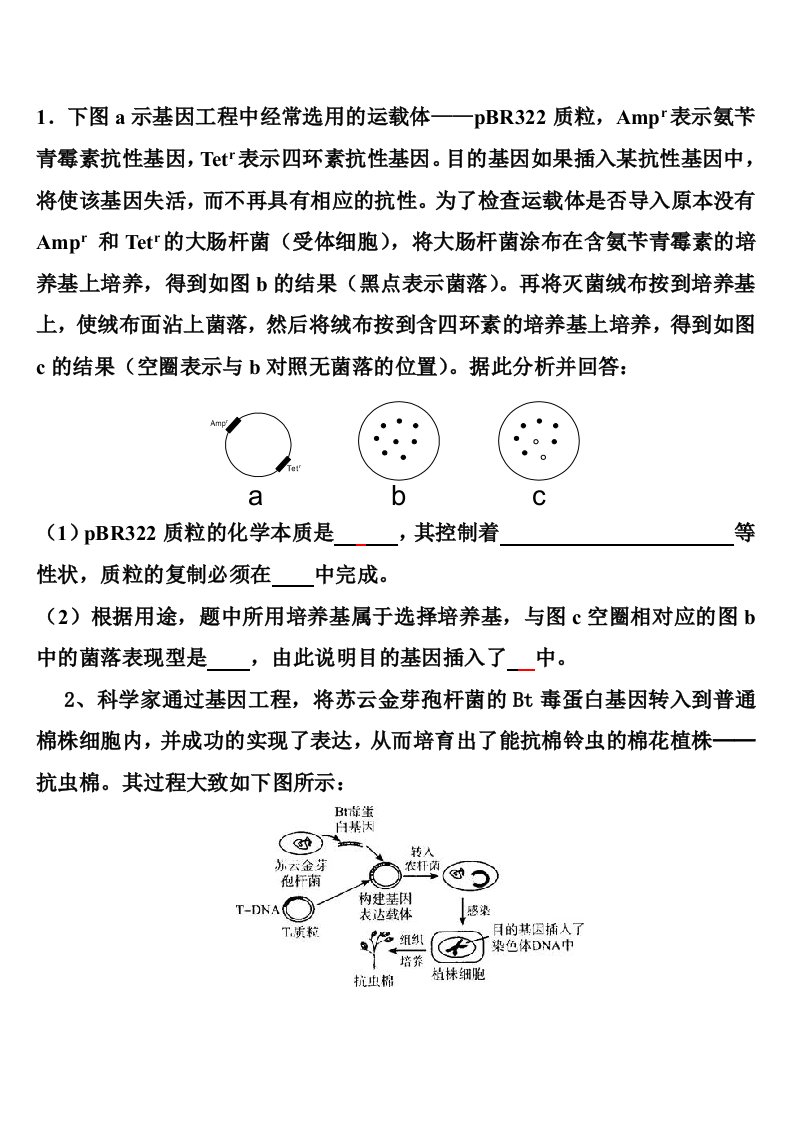 基因工程典型例题