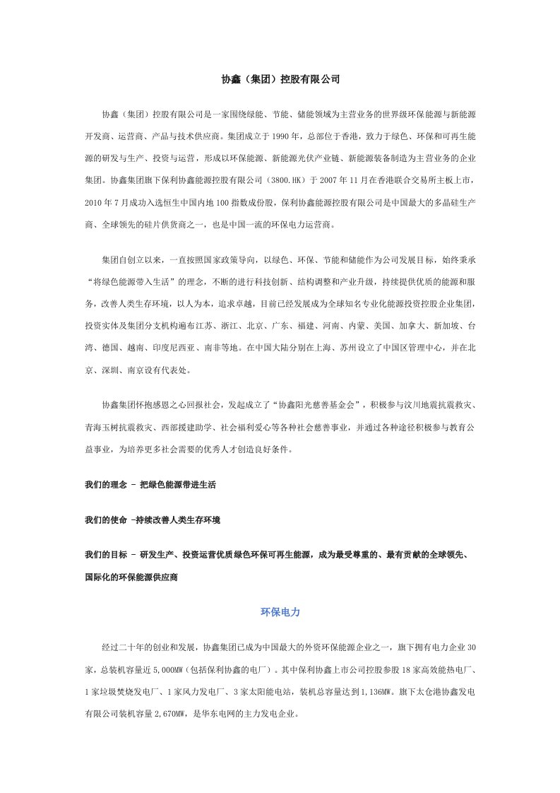 协鑫集团控股有限公司.doc