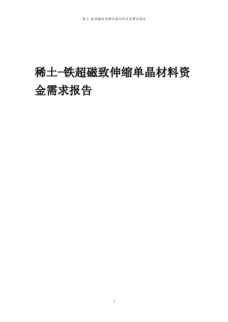 2024年稀土-铁超磁致伸缩单晶材料项目资金需求报告代可行性研究报告