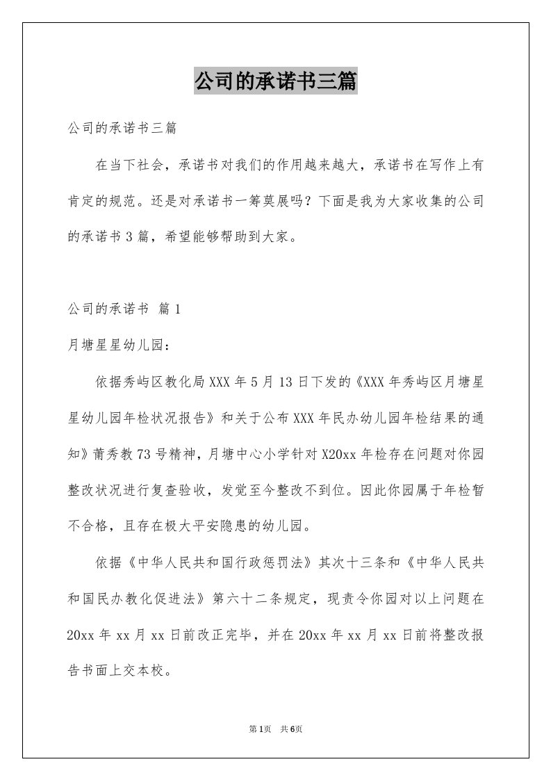 公司的承诺书三篇例文