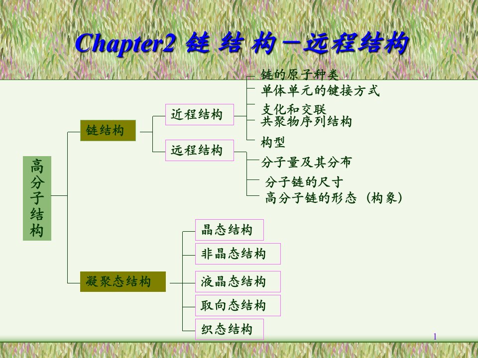 《高分子结构》PPT课件