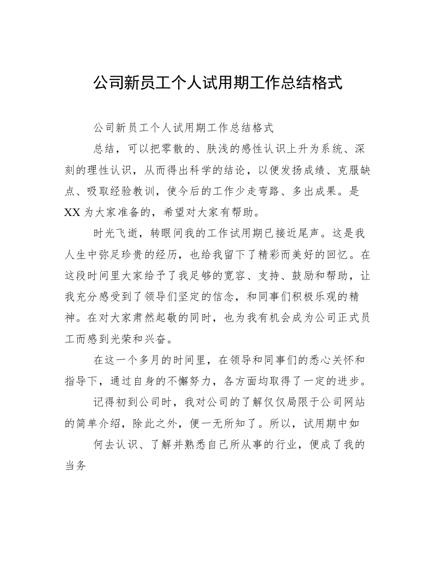 公司新员工个人试用期工作总结格式