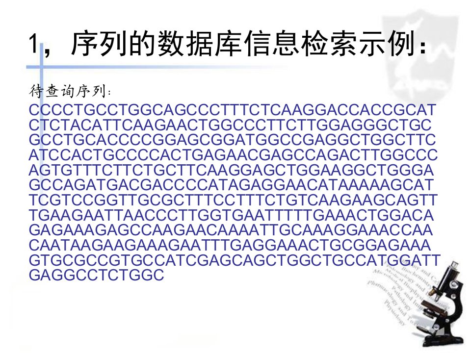 生物信息学上机实验更新