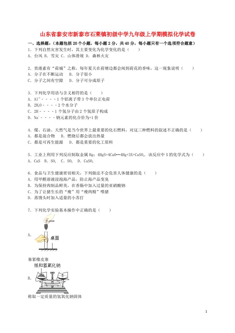 山东省泰安市新泰市石莱镇初级中学九级化学上学期模拟试题（含解析）