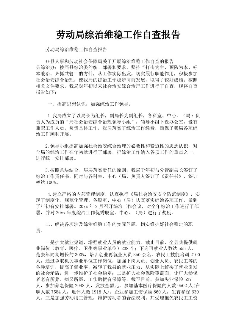 劳动局综治维稳工作自查报告