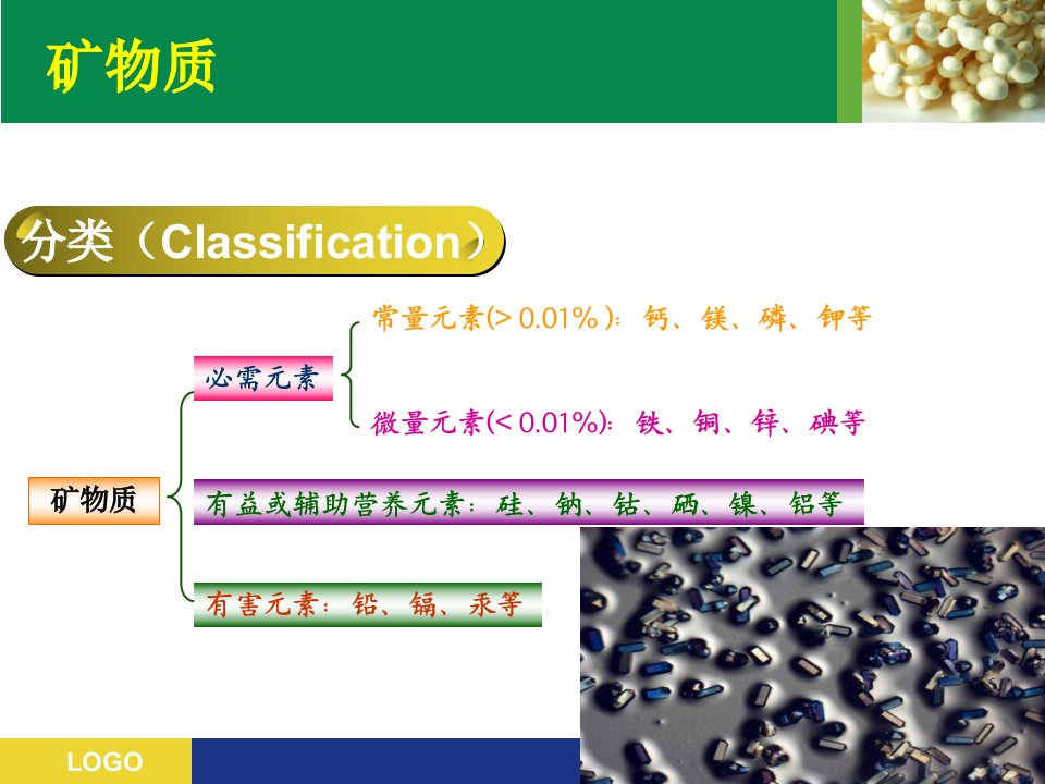 常量矿物质和微量矿物质讲课