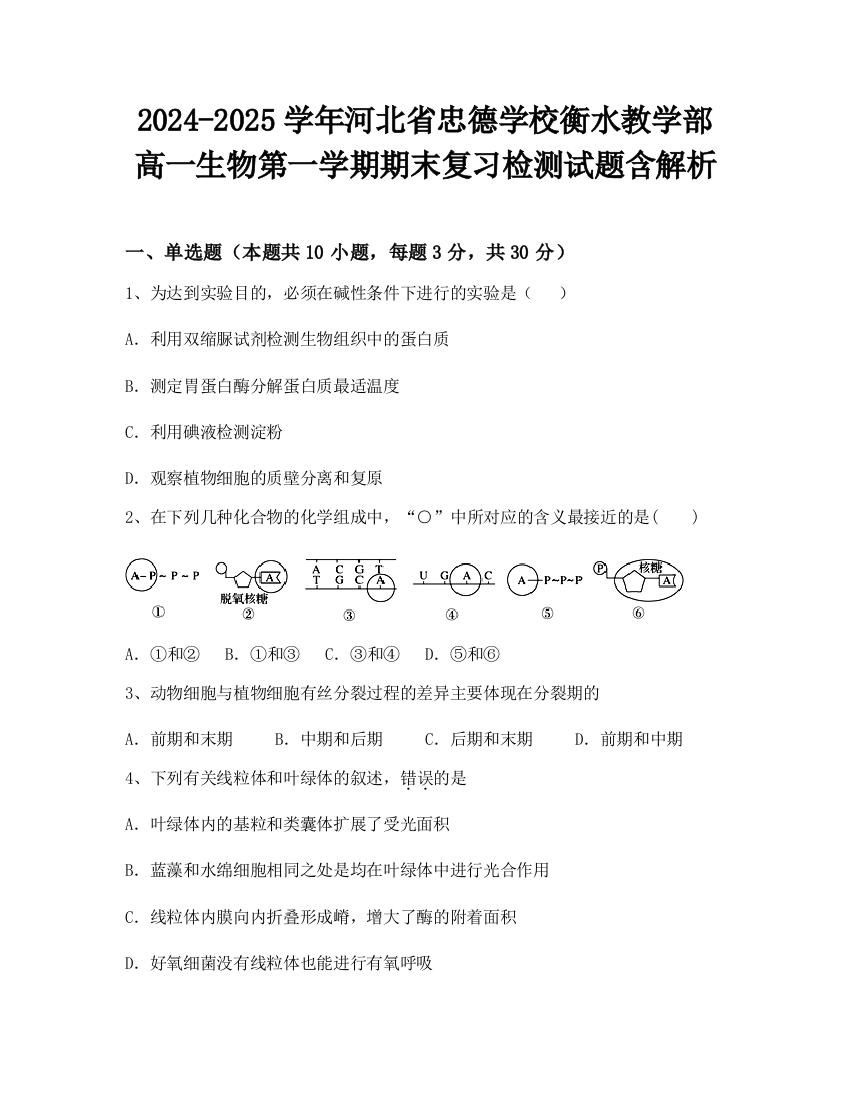 2024-2025学年河北省忠德学校衡水教学部高一生物第一学期期末复习检测试题含解析