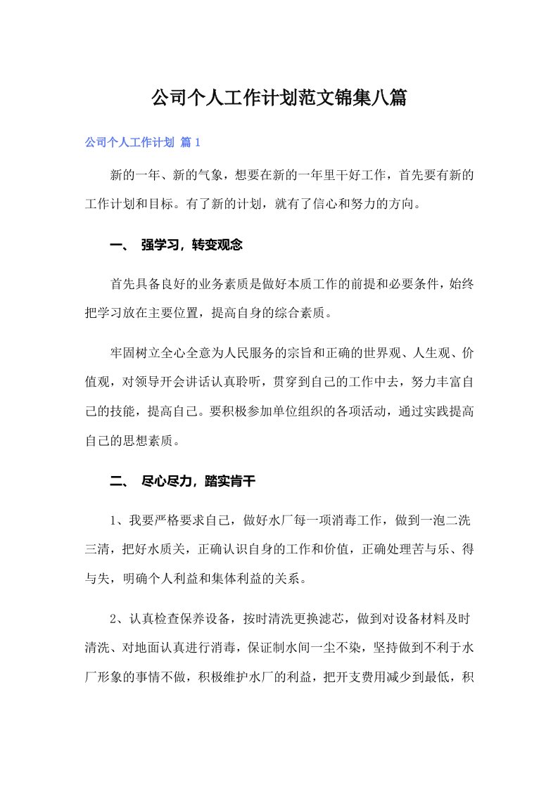 公司个人工作计划范文锦集八篇