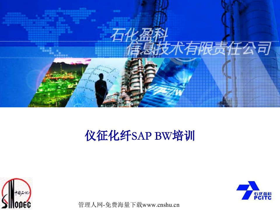 仪征化纤SAP