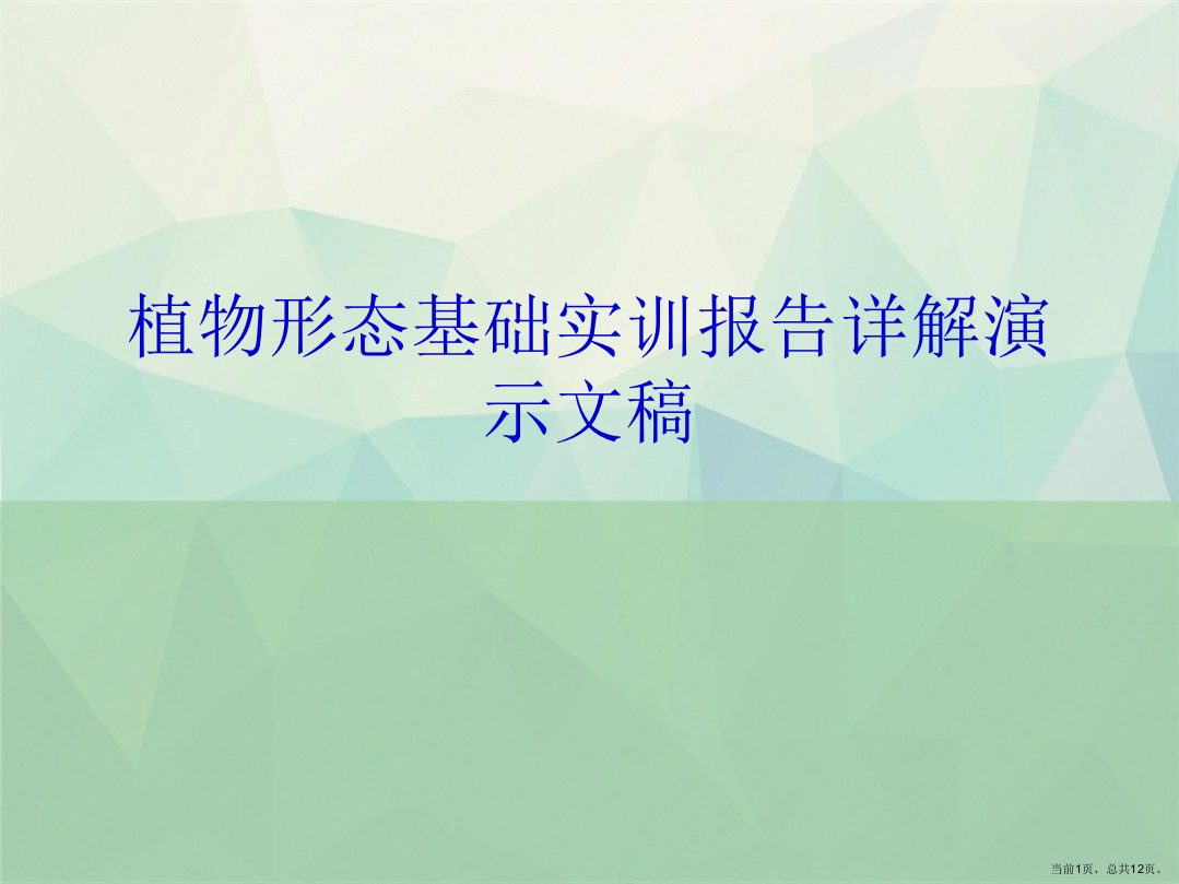 植物形态基础实训报告详解