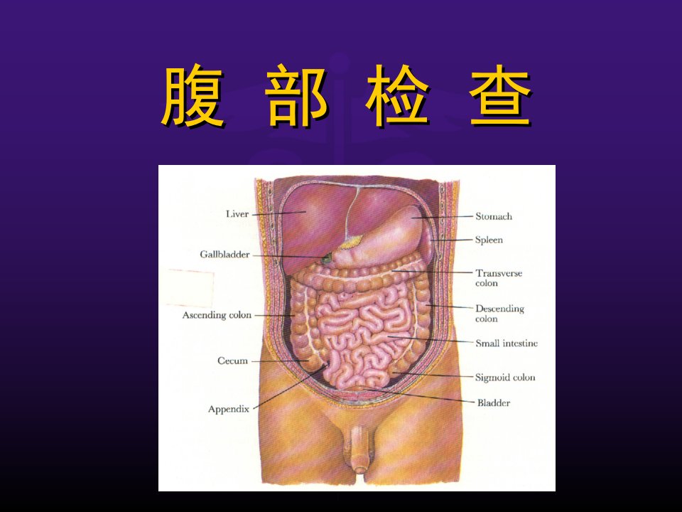 健康评估