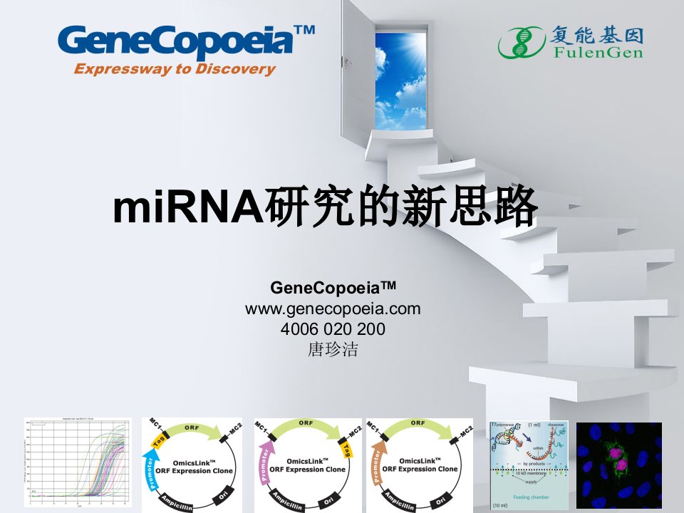 miRNA研究的新思路