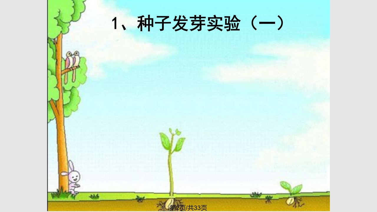 小学科学五年级种子发芽实验一