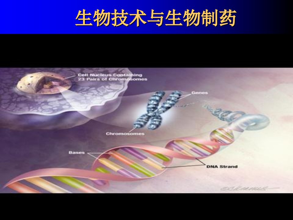 《生物技术与生物制药》课件