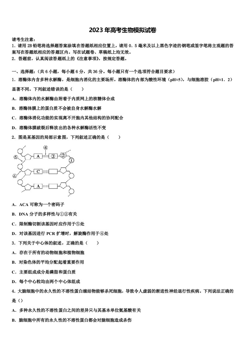 安徽省屯溪第一中学2023年高三第五次模拟考试生物试卷含解析