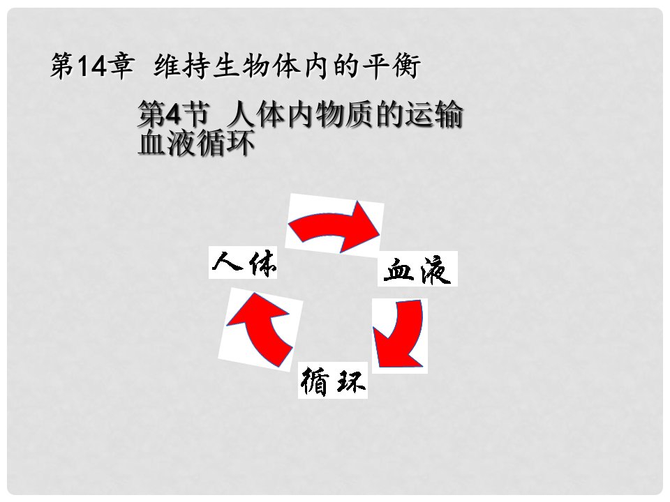 江苏省灌南县实验中学八年级生物上册《14.4