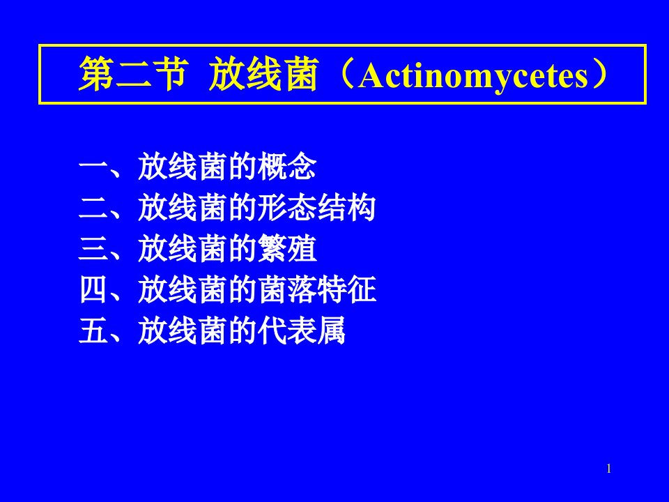 《放线菌后》PPT课件