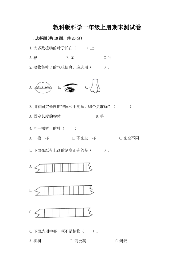 教科版科学一年级上册期末测试卷及完整答案（全优）