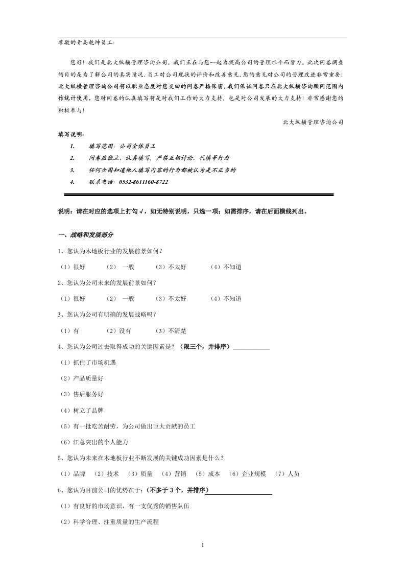 北x纵横管理咨询调查问卷(doc10)-咨询报告