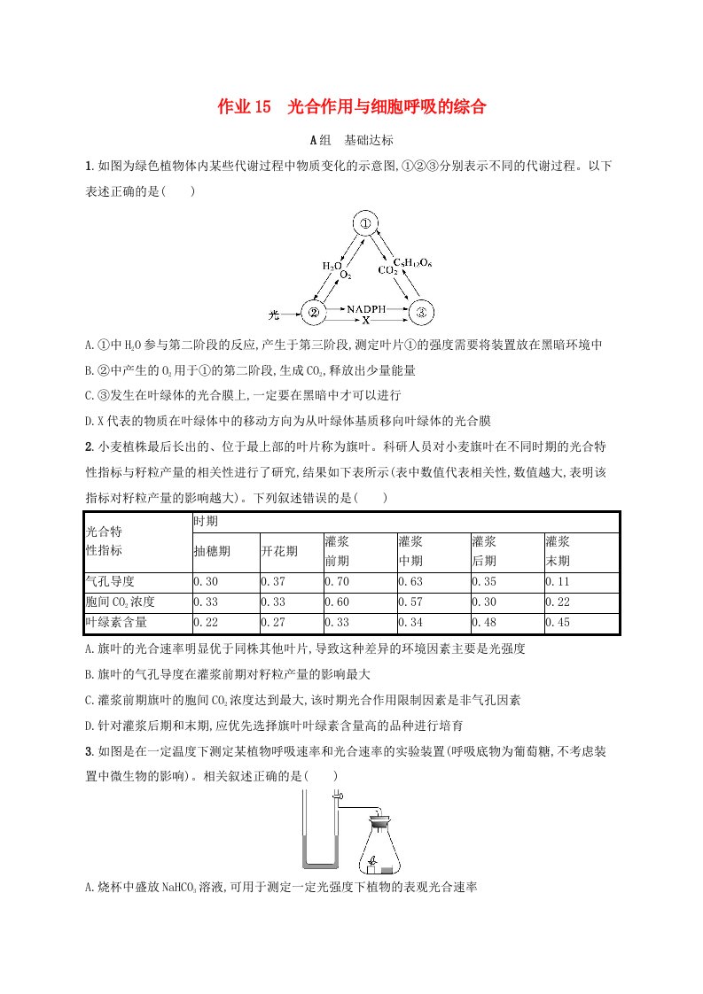 适用于新高考新教材浙江专版2025届高考生物一轮总复习第2单元细胞的代谢作业15光合作用与细胞呼吸的综合浙科版