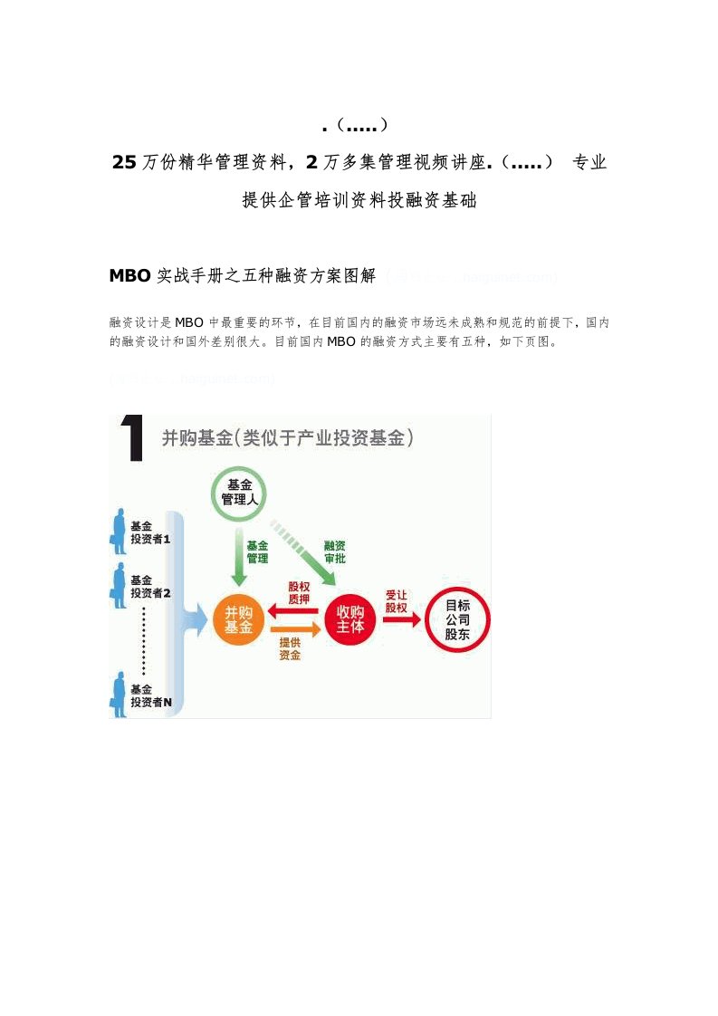 中国企业海外融资策略汇集419