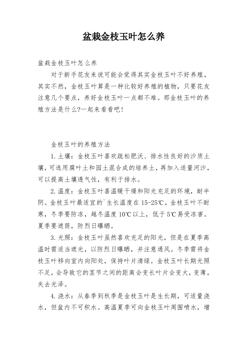 盆栽金枝玉叶怎么养