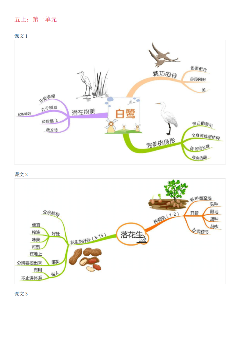 五年级上册第一单元思维导语文