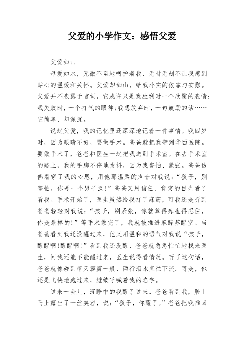 父爱的小学作文：感悟父爱_1