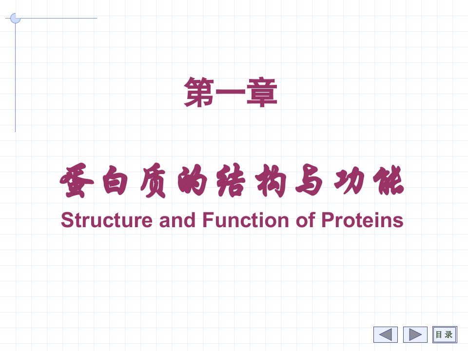 氨基酸多肽与蛋白质ppt课件