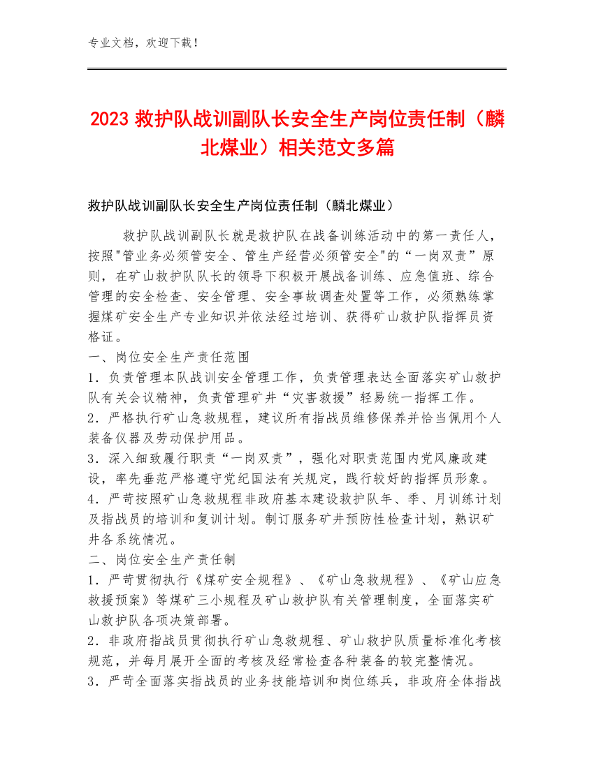 2023救护队战训副队长安全生产岗位责任制（麟北煤业）范文多篇