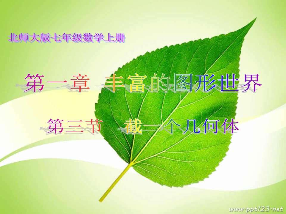 北师大版七年级数学截一个几何体