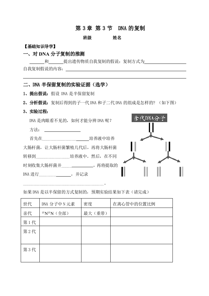 DNA的复制学案