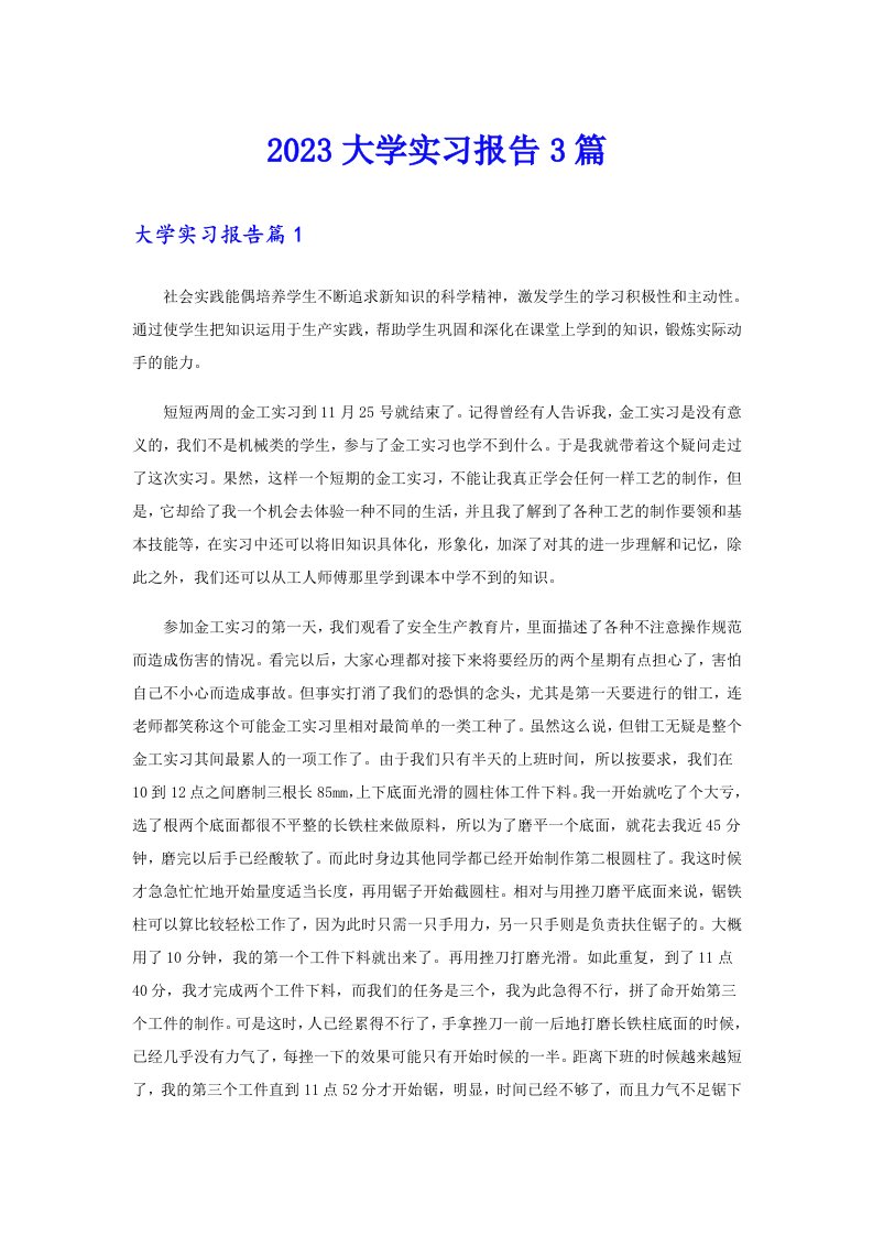 【word版】2023大学实习报告3篇