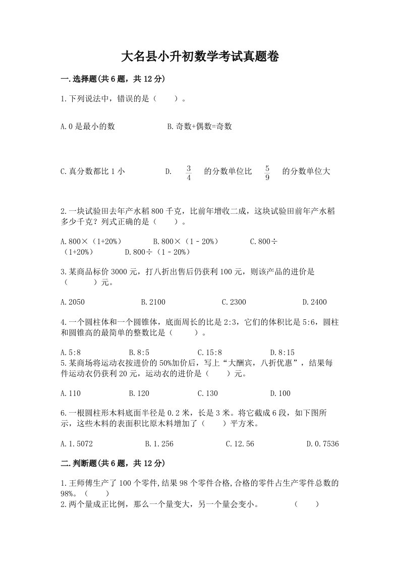 大名县小升初数学考试真题卷新版