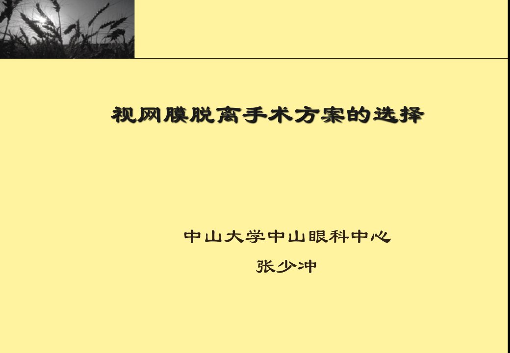 视网膜脱离手术方案的选择-中山张少冲副本