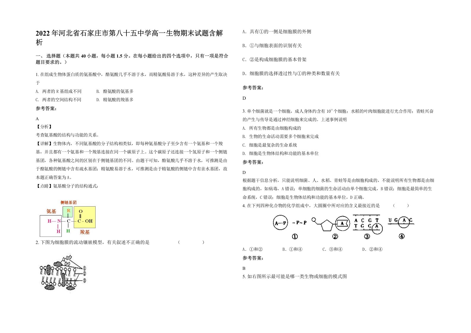 2022年河北省石家庄市第八十五中学高一生物期末试题含解析