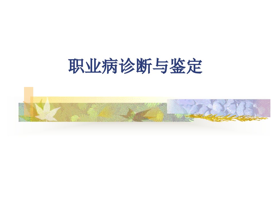 《职业病诊断鉴定》PPT课件