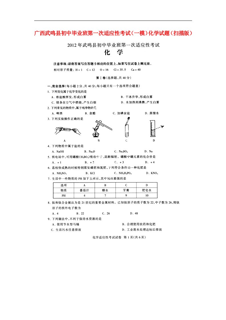 广西武鸣县初中化学毕业班第一次适应性考试（一模）试题（扫描版）