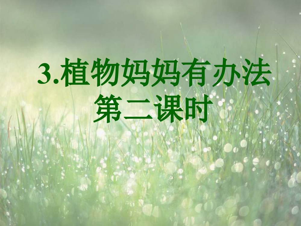 3.植物妈妈有办法第二课时详解