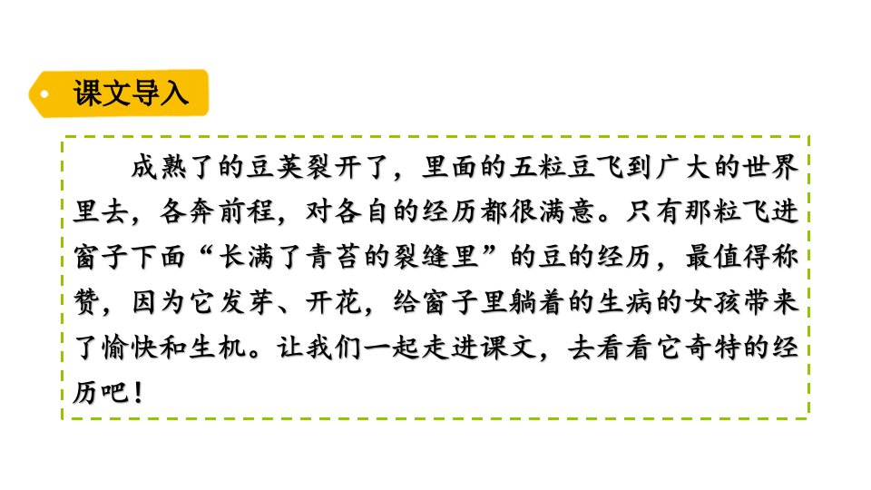 人教部编版四年级上册语文《一个豆荚里的五粒豆》课件