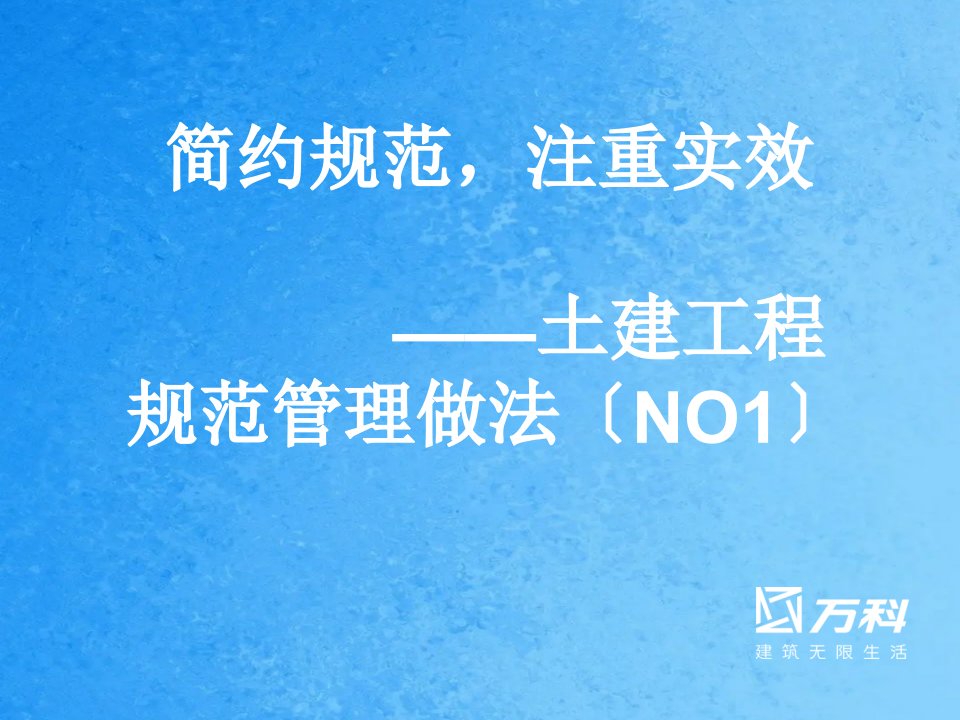 简约规范注重实效万科土建工程标准管理做法ppt课件