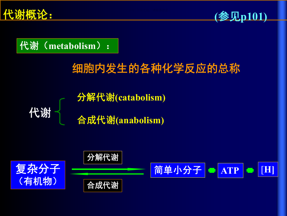 微生物产能代谢