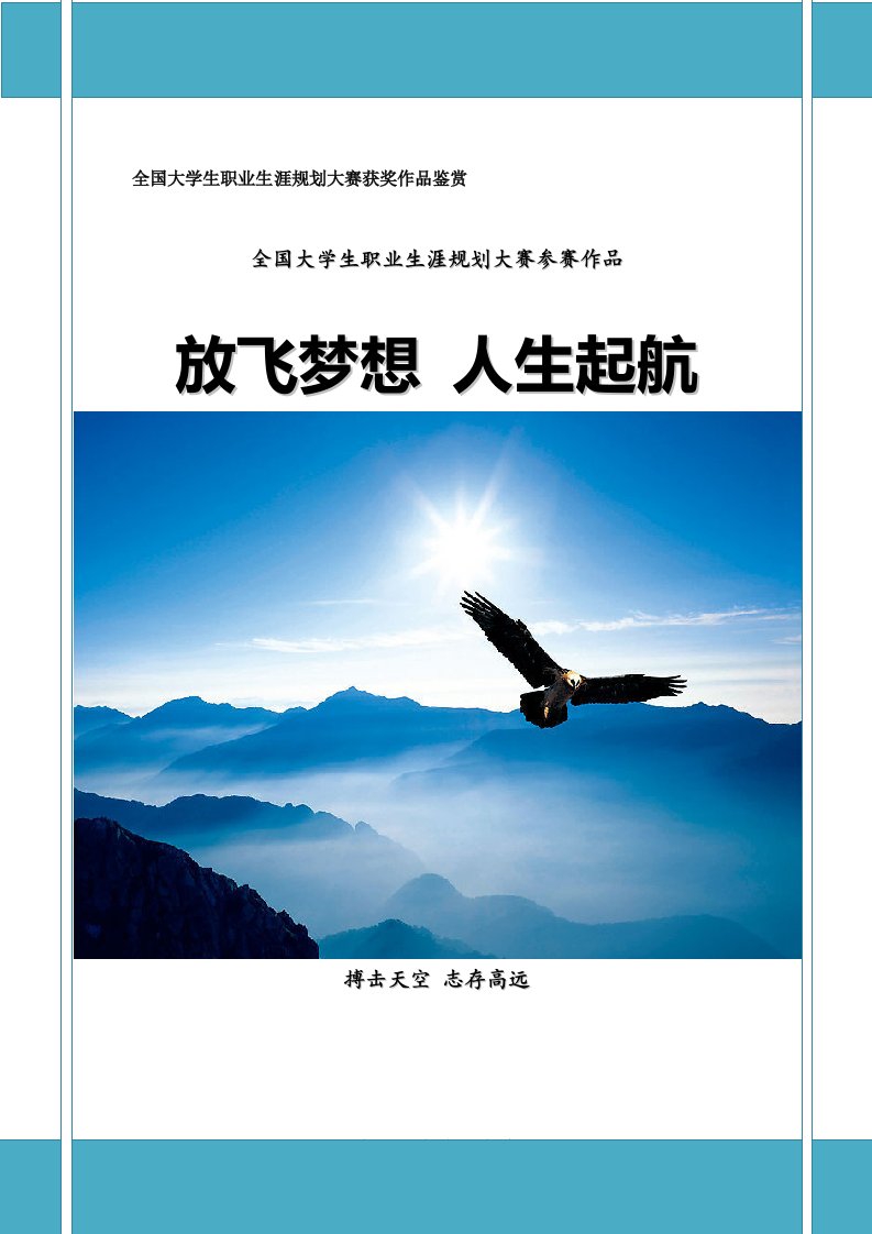 全国大学生职业生涯规划大赛获奖作品鉴赏(共31页)