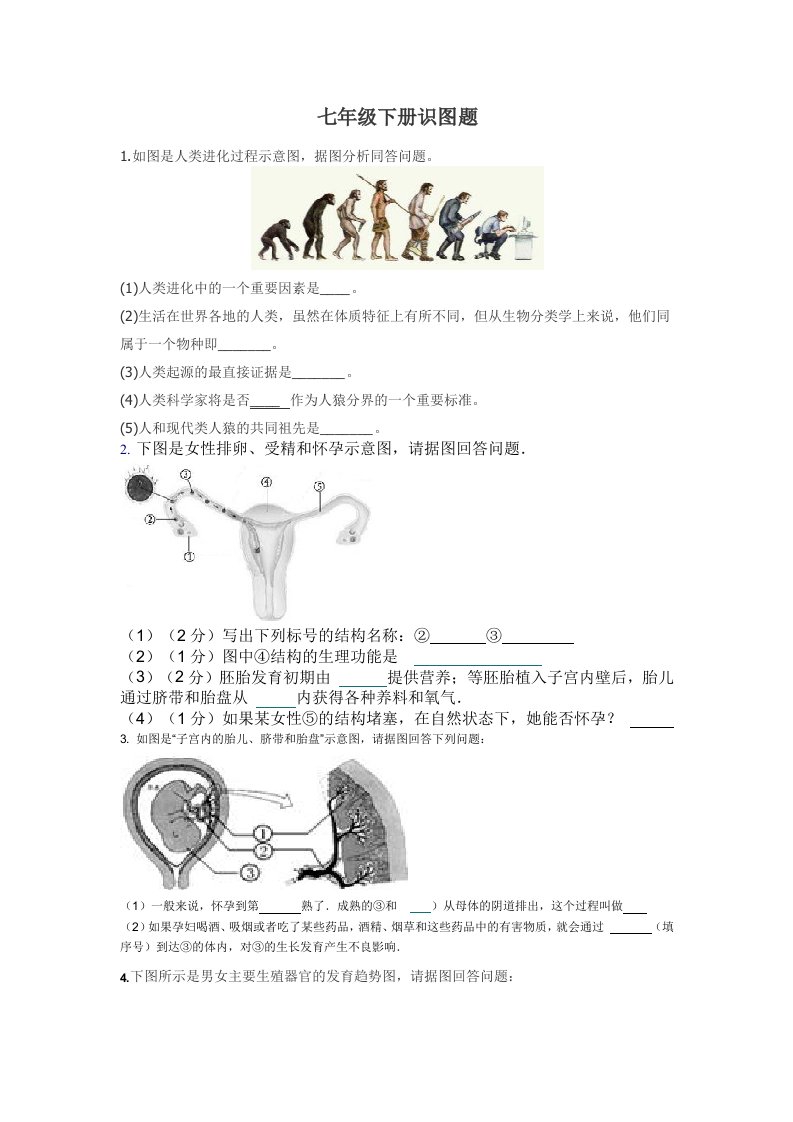 生物七年级下册生物期中识图题