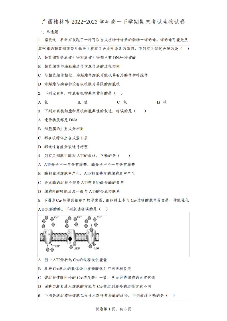 广西桂林市2022-2023学年高一下学期期末考试生物试卷(含解析)