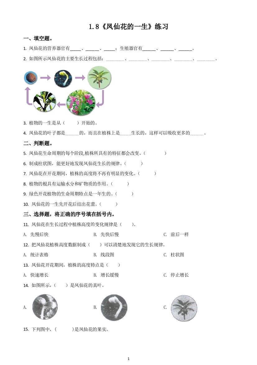 江苏省宿迁市泗洪县青阳中心小学教科版科学四年级下册1.8-凤仙花的一生练习卷(原卷版)